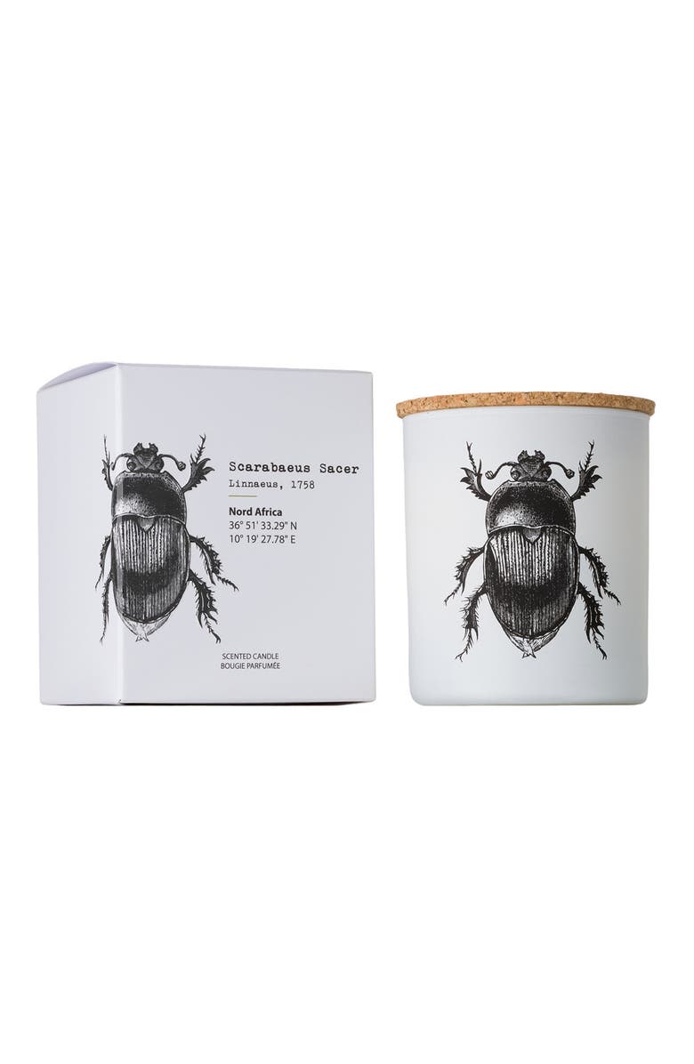 Vila Hermanos Vila Insect Candle In Jar 6.7 Ounce, Main, color, Scarabeus Sacer