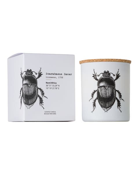 Vila Insect Candle In Jar 6.7 Ounce