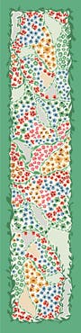 Jessie Zhao New York Garden Oblong Silk Scarf