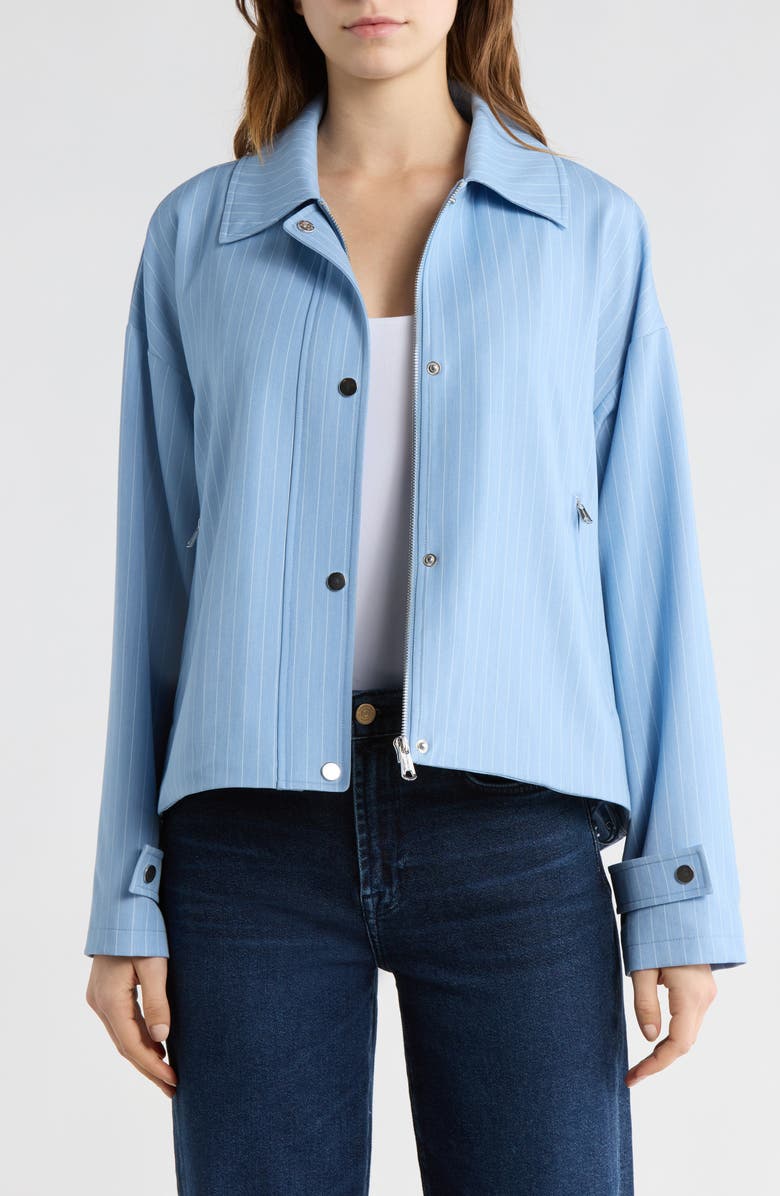 Bernardo Stripe Jacket, Alternate, color, Light Blue