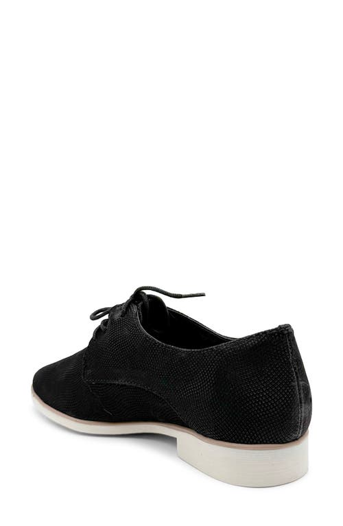 Chelsea Crew Buck Derby In Black Nubuck