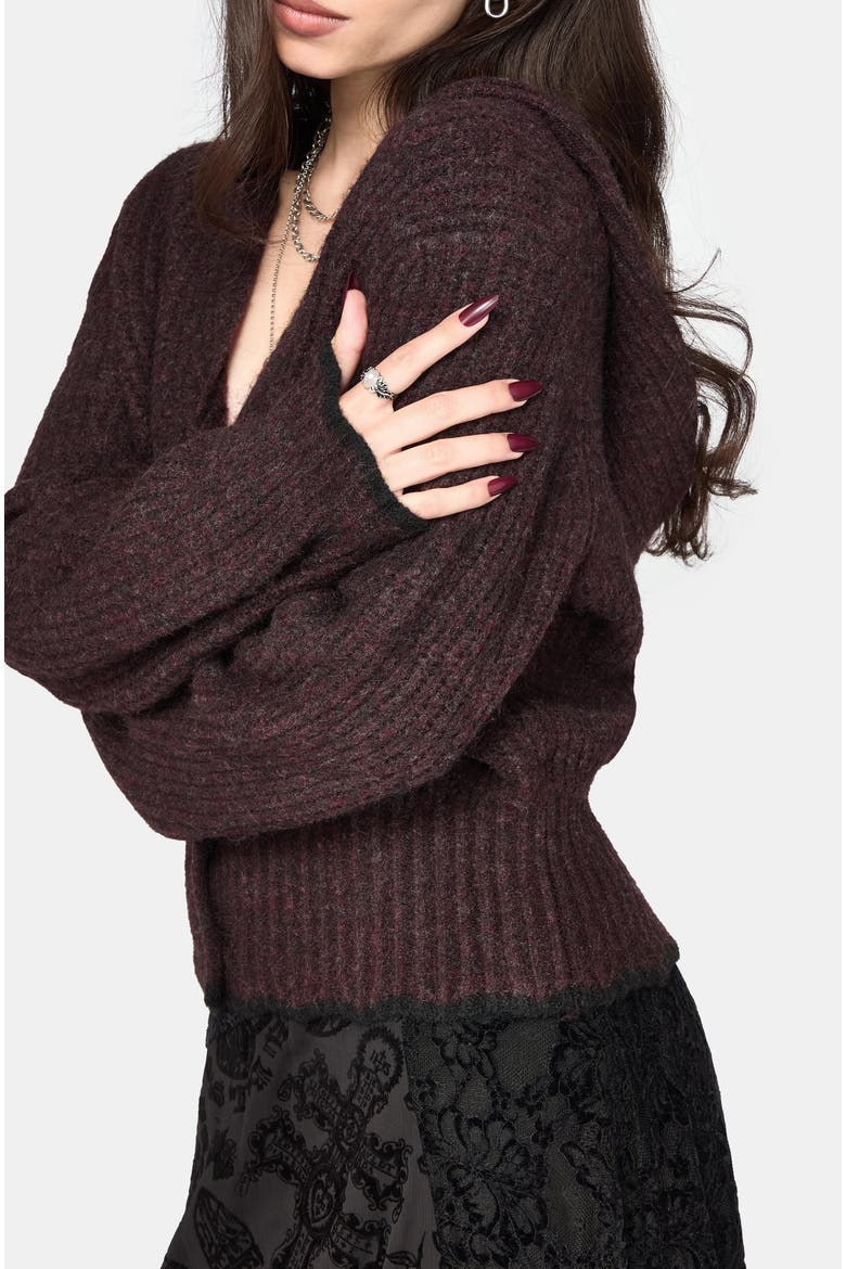 Vallie Hooded Blouson Knit Cardigan, Alternate, color, Burgundy
