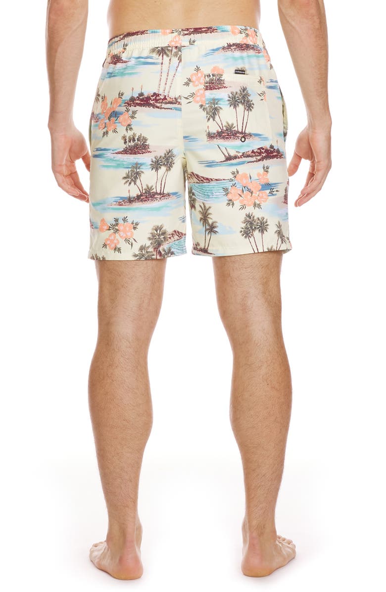 Quiksilver Everyday Mix Volley Swim Trunks, Alternate, color, Silver Birch