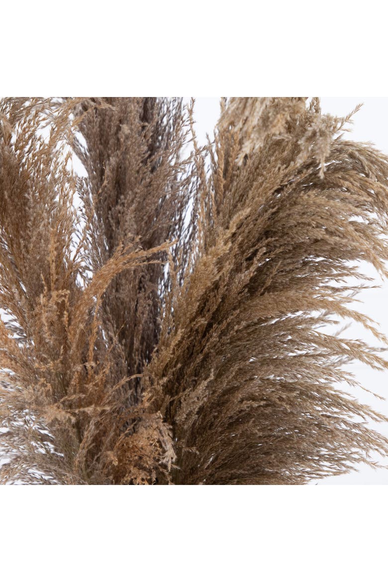 30-in Dried Natural Pampas Arrangement in Ceramic Vase, Alternate, color, Green