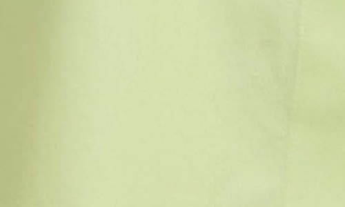 Foxcroft Cici Tunic Blouse In Pistachio