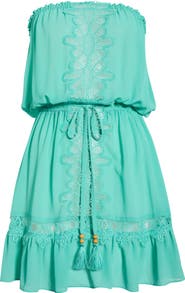 Ramy Brook Strapless Embrodiered Cover-Up Dress