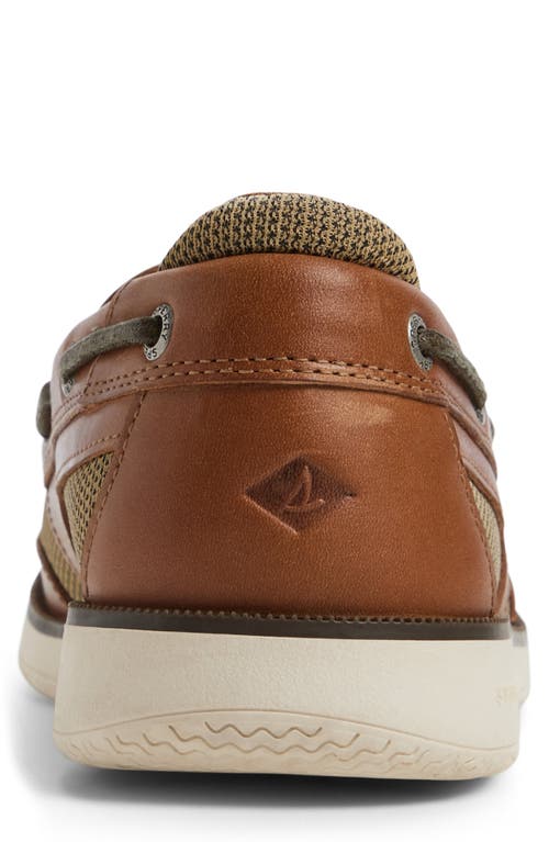Sperry Surveyor Slip-on In Brown