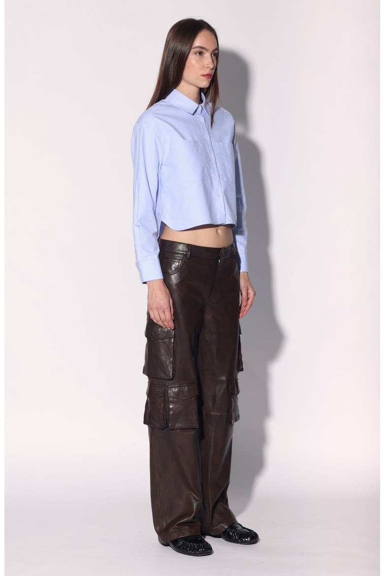 Danny Leather Pant, Alternate, color, Brown