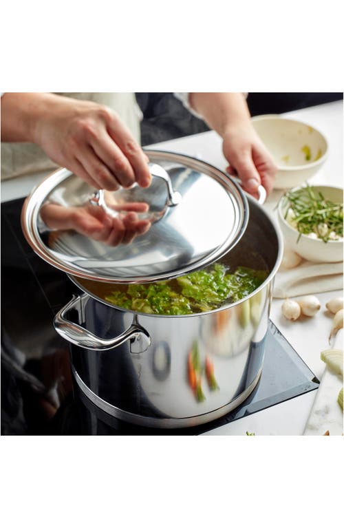 Demeyere Atlantis 8.5-quart Stainless Steel Stockpot In Silver