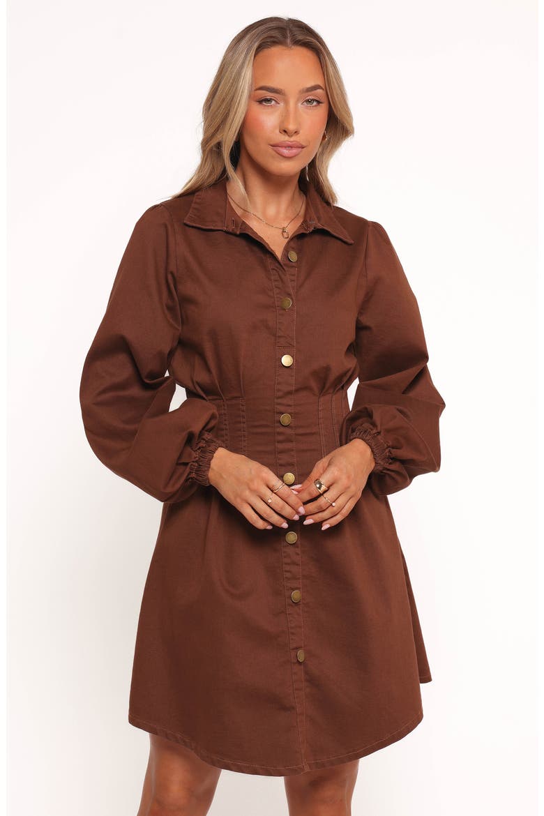 Phoenix Long Sleeve Minidress, Alternate, color, BROWN DENIM