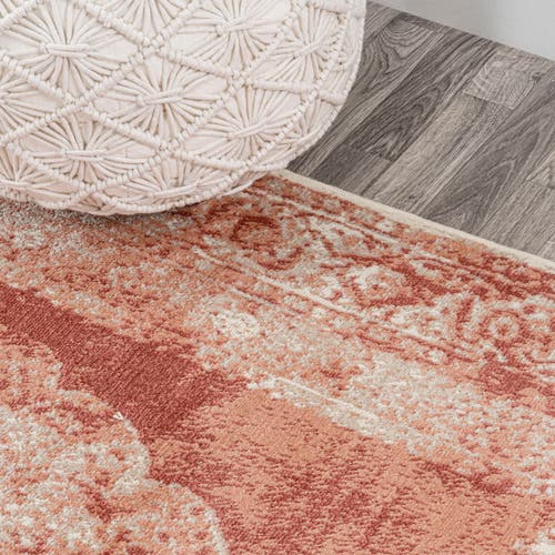 Jonathan Y Rosalia Cottage Medallion Area Rug In Peach/ivory