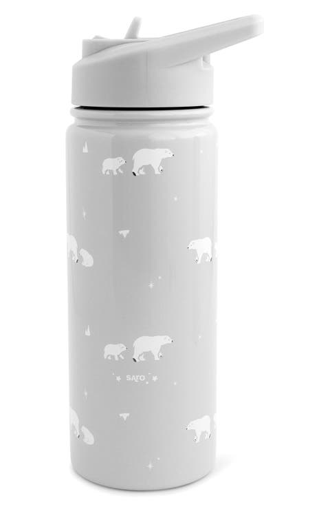 16.9-Ounce Polaris Thermos Stainless Steel Bottle
