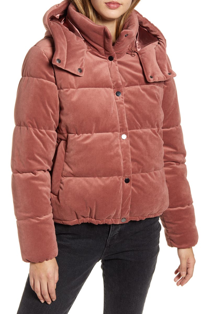 Rachel Parcell Velvet Puffer Coat, Alternate, color, 