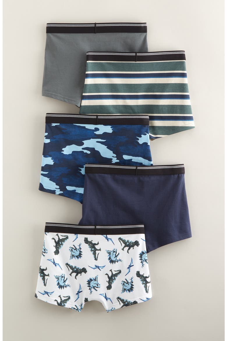 Kids' Assorted 5-Pack Boxer Briefs, Alternate, color, DINO CAMO PACK