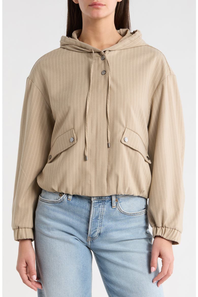 Pinstripe Hooded Jacket, Alternate, color, TOFFEE