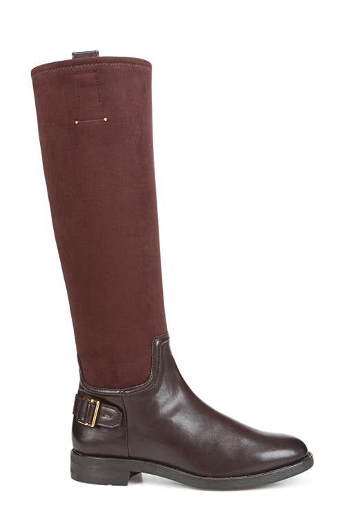 Franco Sarto Merina Knee High Boot In Brown