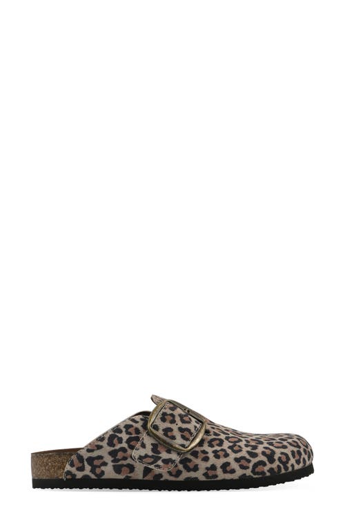 Cliffs By White Mountain Big Easy Buckle Mule In Multi