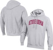 Champion Men's Champion Gray Bethune-Cookman Wildcats Tall Arch Pullover Hoodie