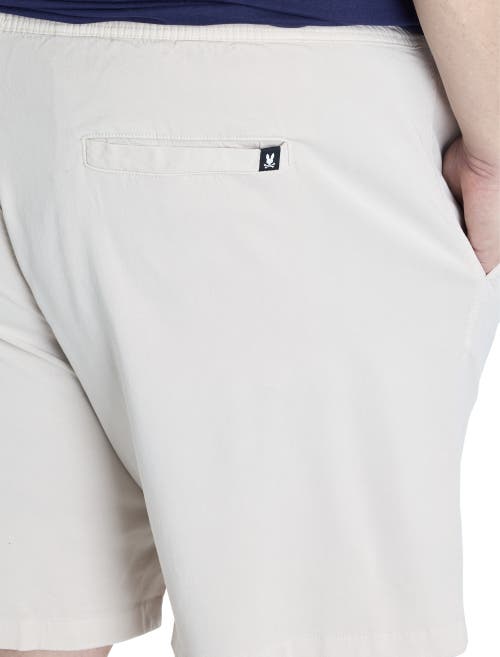 Psycho Bunny Big & Tall Willis Stretch Shorts In White