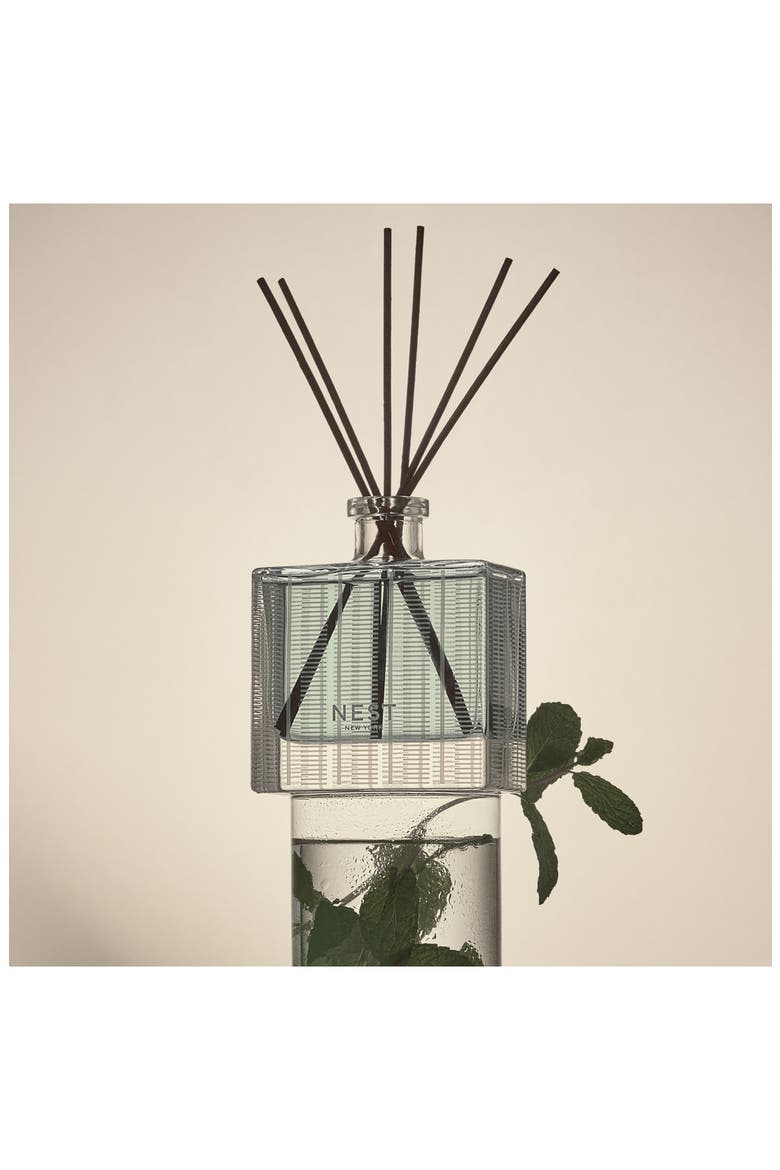 Wild Mint & Eucalyptus Reed Diffuser, Alternate, color, NO COLOR