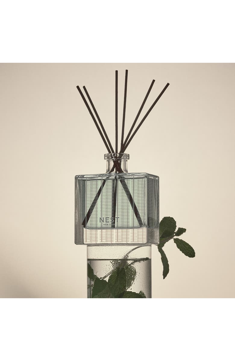 NEST New York Wild Mint & Eucalyptus Reed Diffuser, Alternate, color,