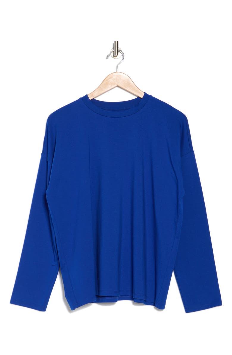 Eileen Fisher Crewneck Long Sleeve Boxy Top, Alternate, color, 