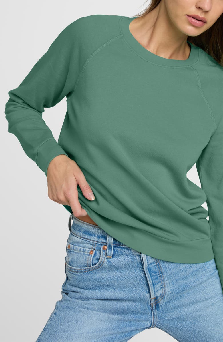 The Standard Stitch The Organic Cotton Raglan Sweatshirt, Alternate, color, Aloe