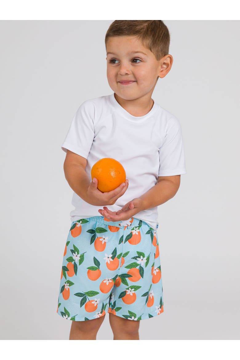 Boys Orange You The Sweetest UPF50+ Swim Trunks, Alternate, color, Blue Orange You The Sweetest