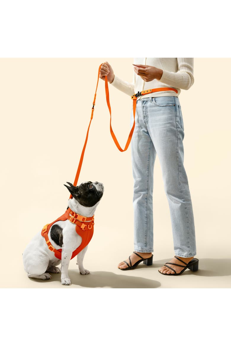 Luna Adjustable 6-in-1 Waterproof Hands-Free Leash and Collar with LED Flashlight, Bag Dispenser, and Poop Bag Holder, Alternate, color, Dark Orange/Light Orange