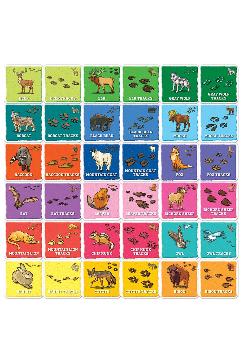 Jr Ranger - Animal Tracks Matching Game, Alternate, color, Multicolor