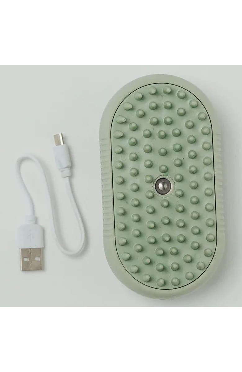 Dexypaws Spritz & Brush Pet Comb, Sage Green, Dog & Cat Grooming Tool, Alternate, color, Green