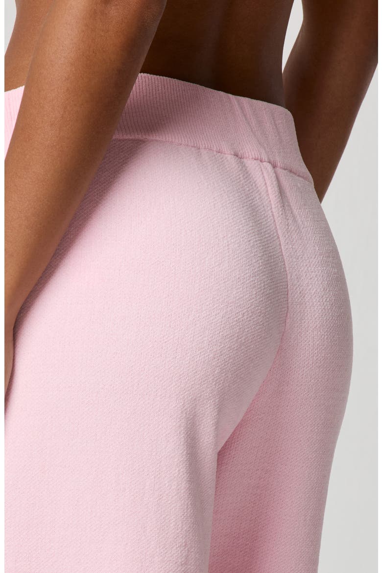 Chenille Wide Leg Pants, Alternate, color, BALLET SLIPPER