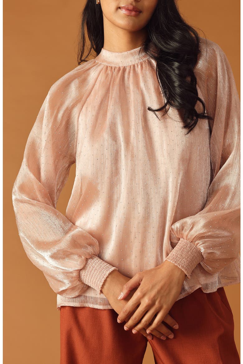 Embellished Long Sleeve Top, Alternate, color, ROSE