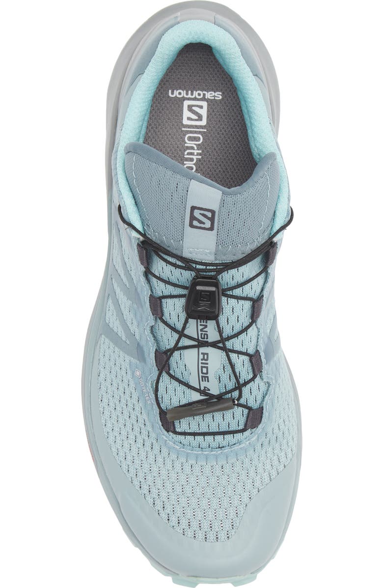 Salomon Sense Ride 4 Invisible Fit Sneaker, Alternate, color,
