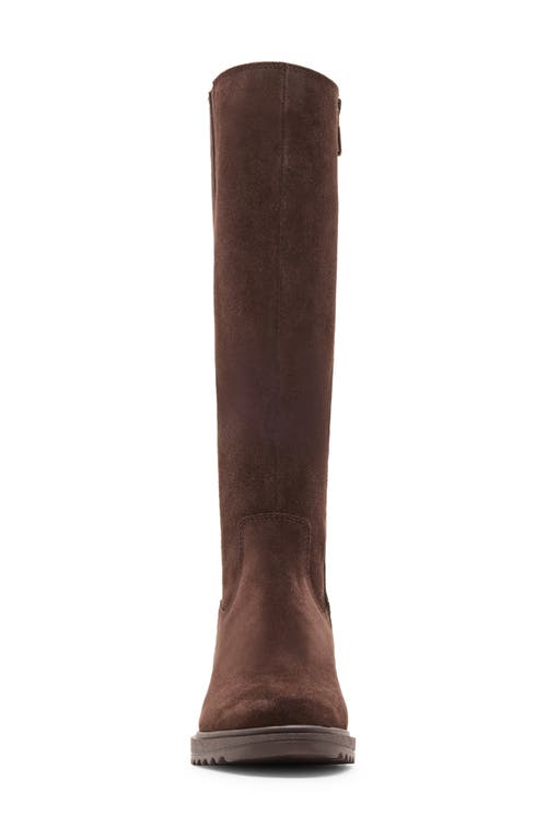 Blondo Ciana Waterproof Knee High Riding Boot In Brown