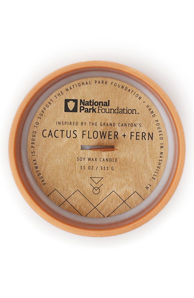 Paddywax Grand Canyon National Park Candle, Alternate, color, Cactus Flower And Fern
