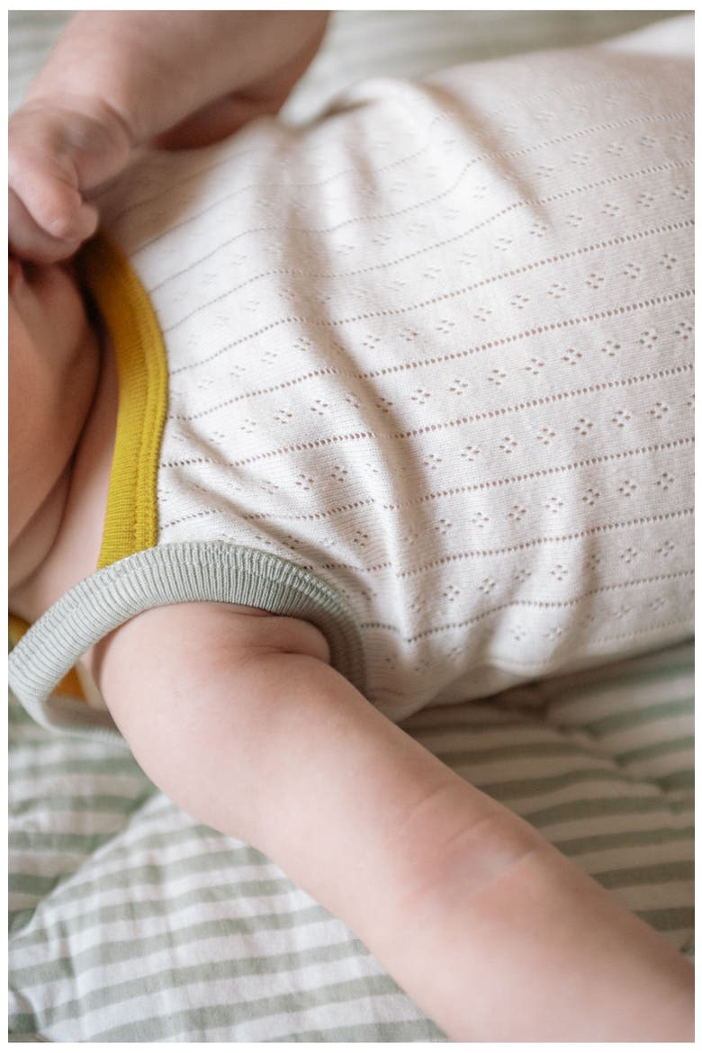 Pointelle Bodysuit, Alternate, color, RAINBOW