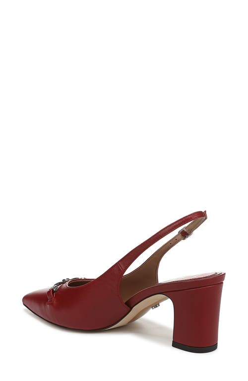 Sam Edelman Waller Pointed Toe Slingback Pump