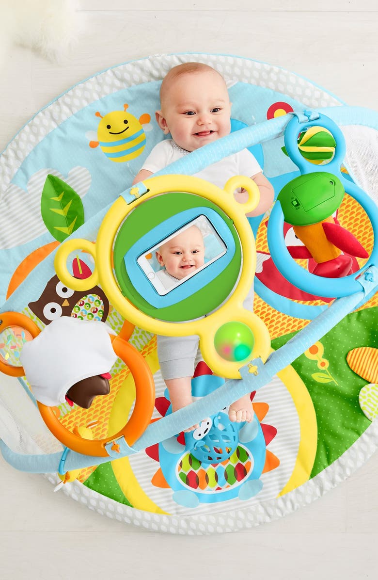 Skip Hop 'Amazing Arch' Activity Gym, Alternate, color, 