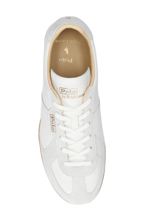 Polo Ralph Lauren Field Court 100 Sneaker In Neutral