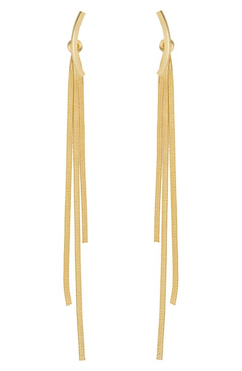 Snake Chain Drop Earrings