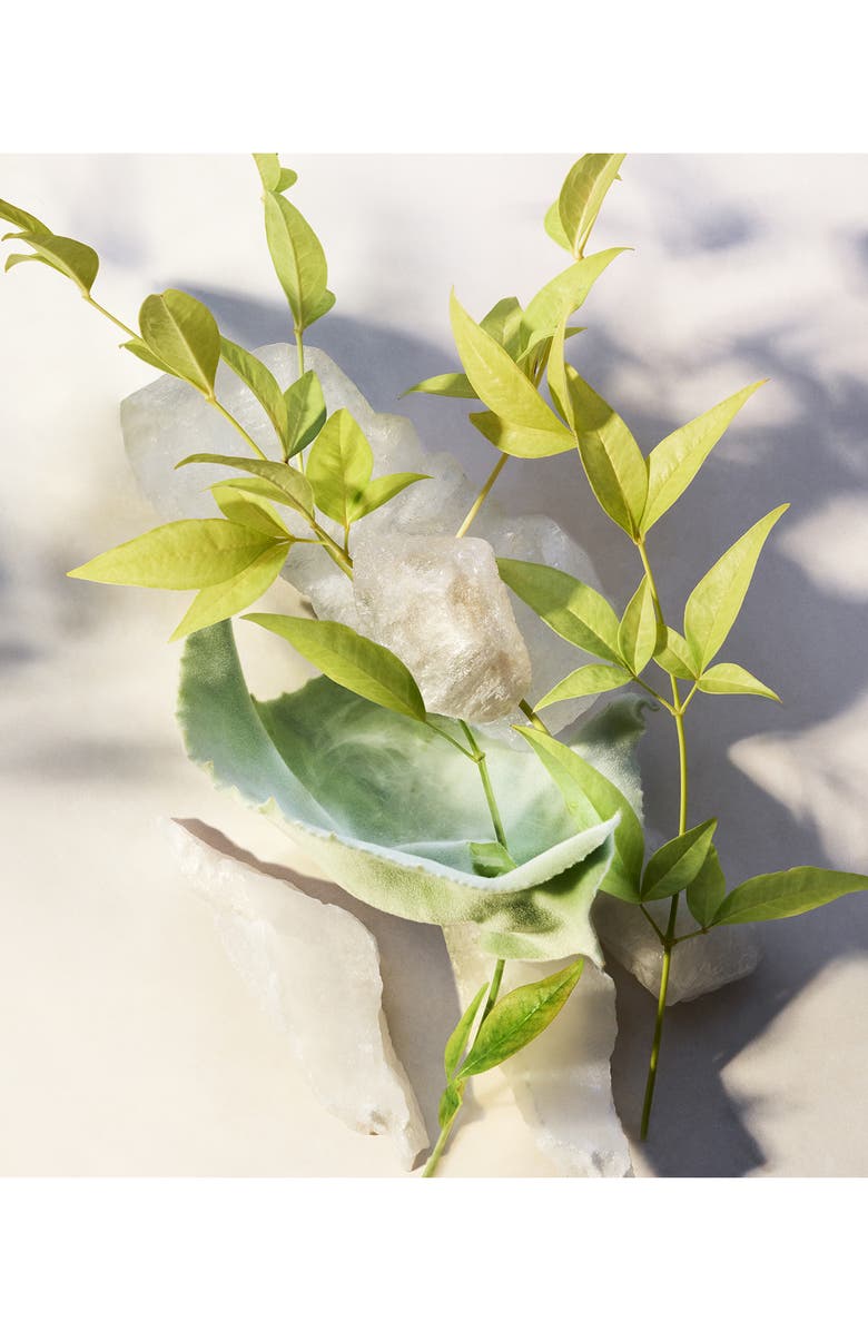 BVLGARI Eau Perfumée Thé Blanc Shower Gel, Alternate, color, 