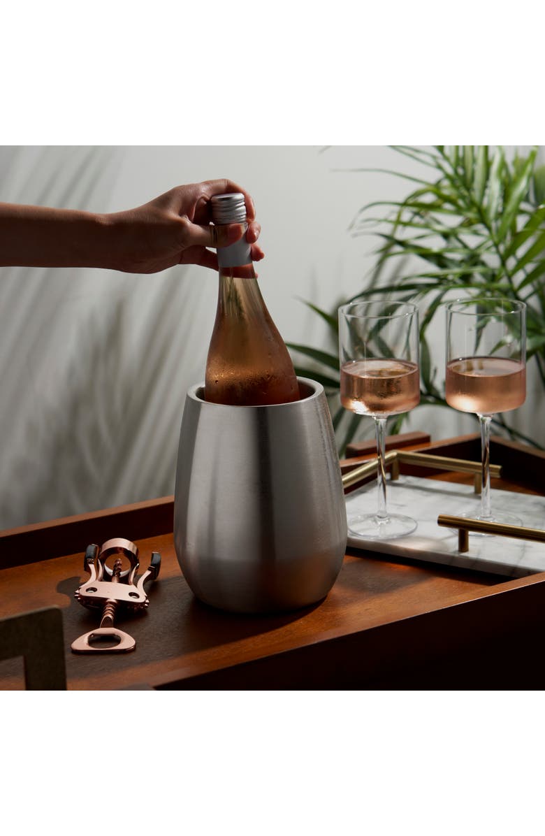 Viski Bottle Chiller in Stainless Steel, Alternate, color, Silver