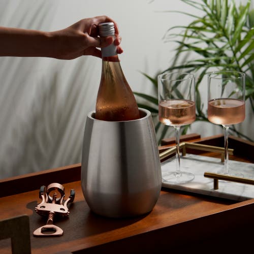 Viski Bottle Chiller In Silver