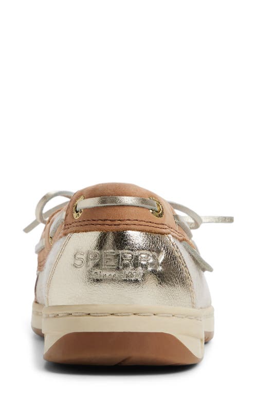 Sperry Angelfish Loafer In Brown
