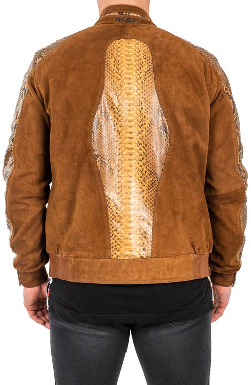 Maceoo Pythondesert Brown Snakeskin Embossed Leather Jacket In Brown