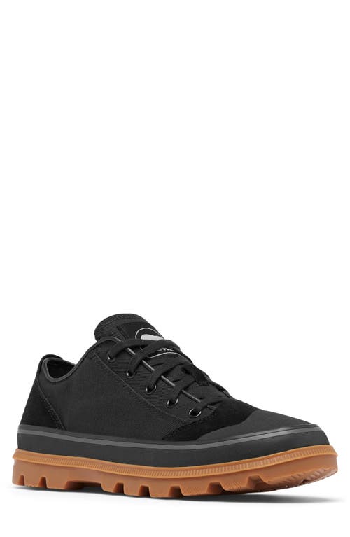 Sorel Scout N About™ Low Sneaker In Black/gum