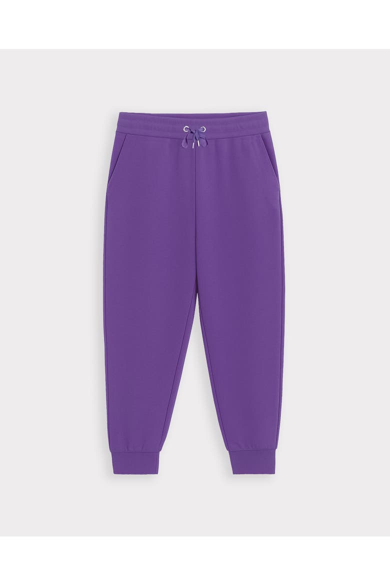 Soft Sweat Cuffed Hem Jogger, Alternate, color, Ultra Violet