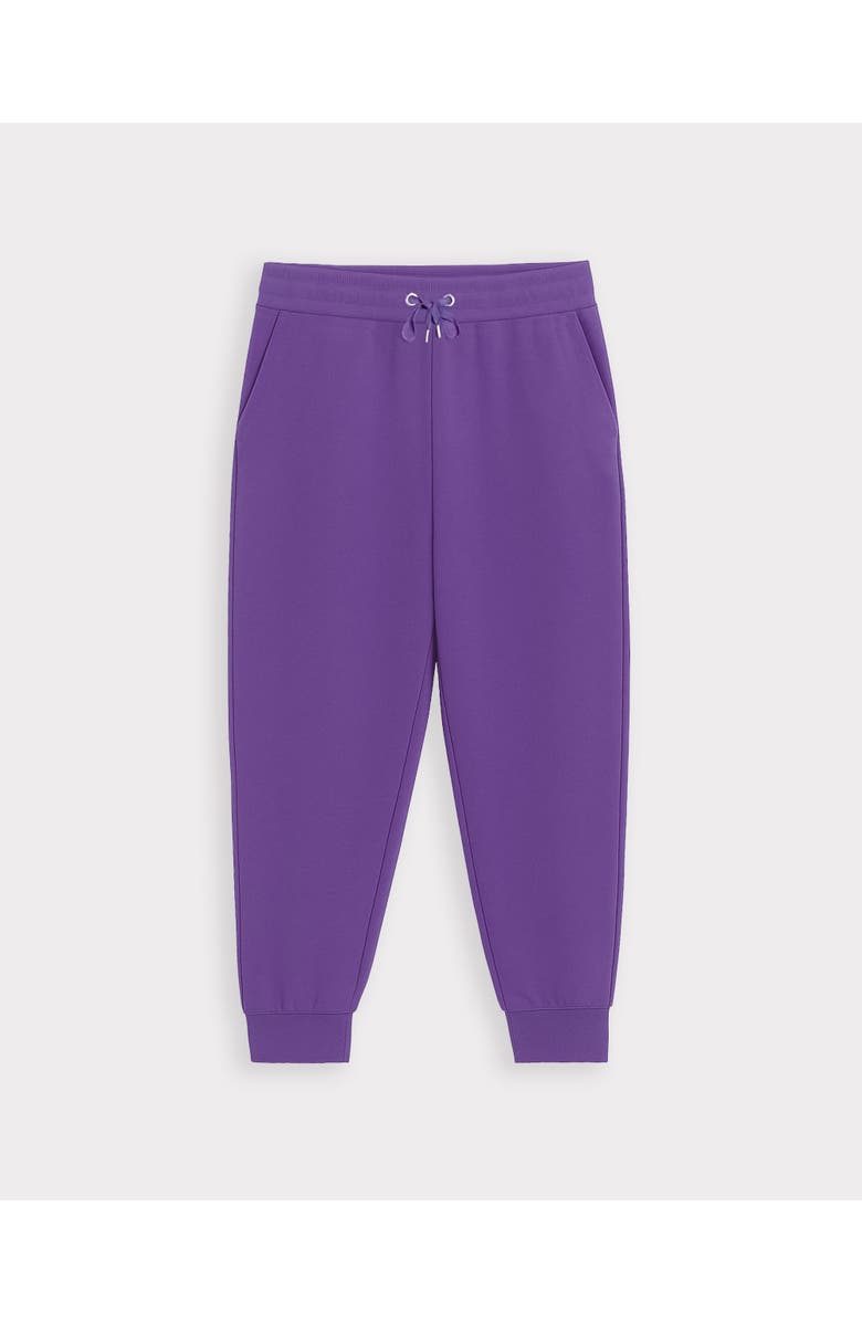 Kettlewell Soft Sweat Cuffed Hem Jogger, Alternate, color, Ultra Violet