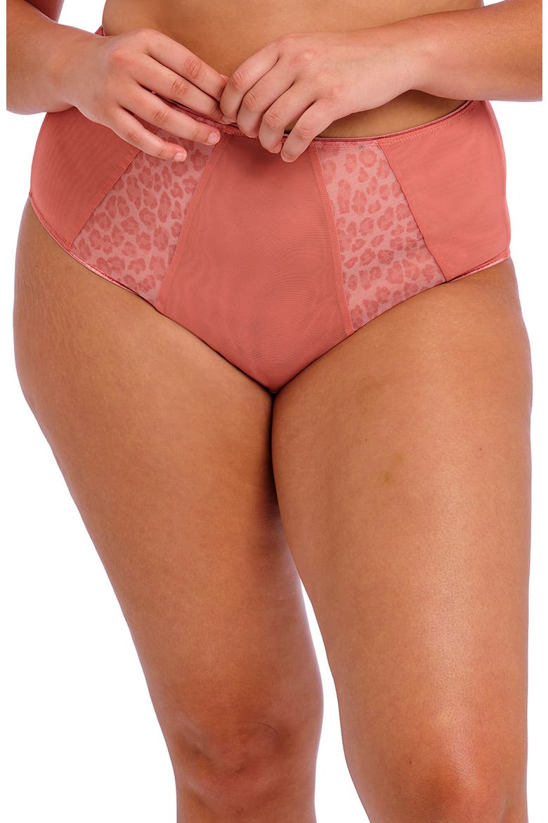 Matilda Full Figure Briefs, Main, color, ROSE LEO